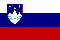 flagge-slowenien
