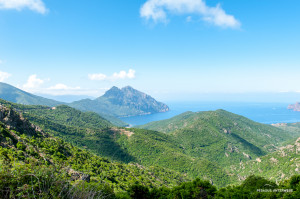 Küstenlandschaft