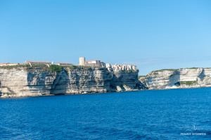 Bonifacio