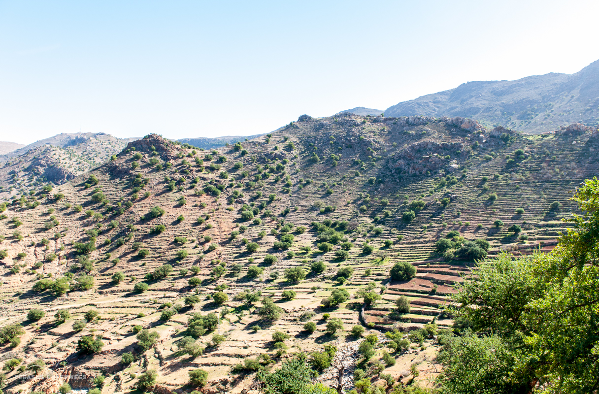 WO BEKOMMT MAN TERRASSENFELDER HER visual data 2