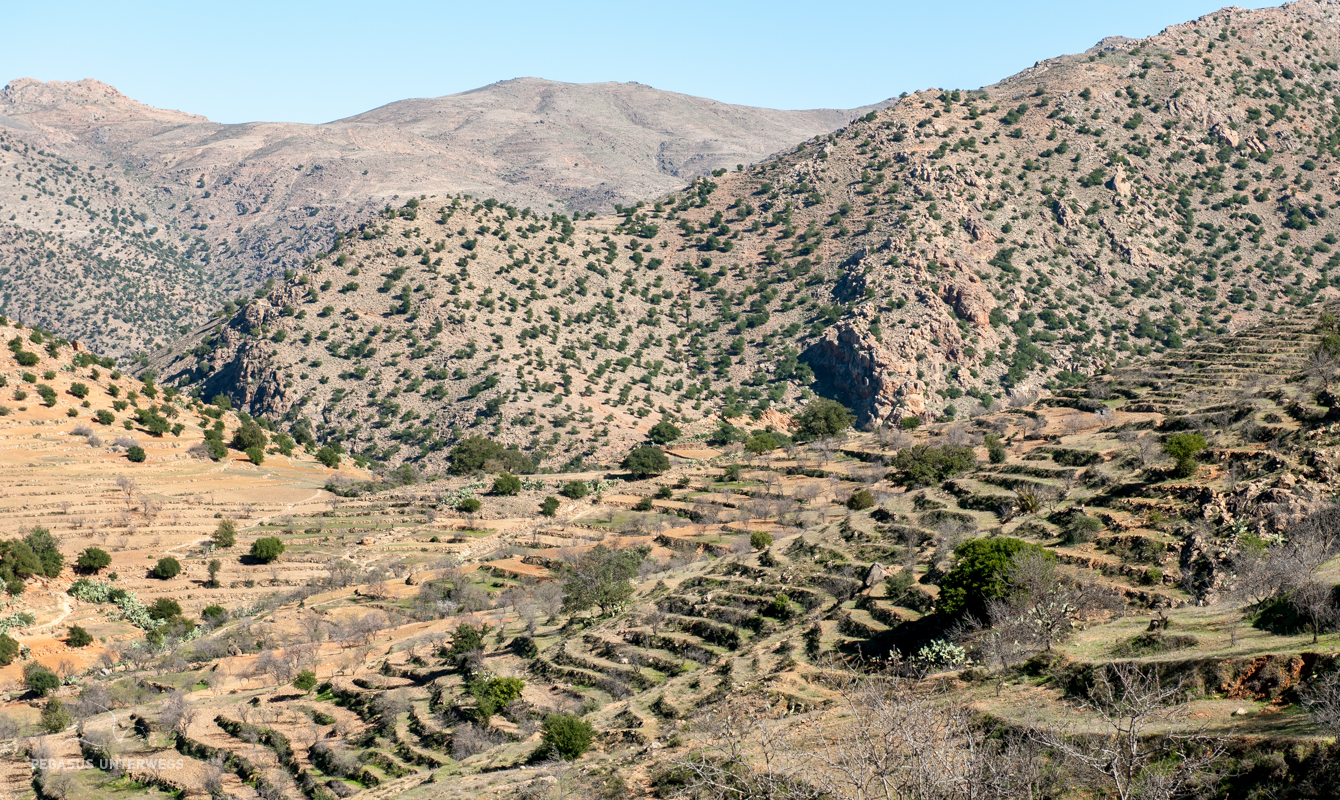 WO BEKOMMT MAN TERRASSENFELDER HER visual data 3