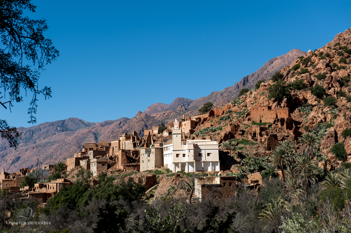 Berberdorf Pegasus unterwegs