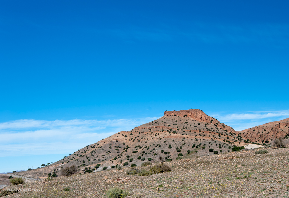 einzelner Hügel Pegasus unterwegs