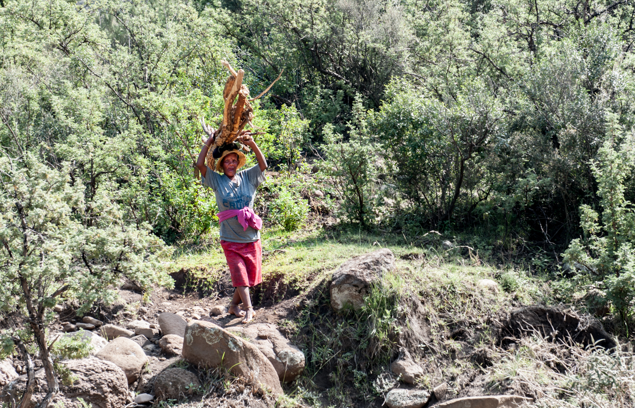 für Haus und Herd zuständig – Pegasus unterwegs