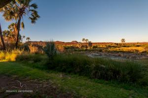 Landschaft-2477