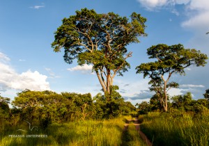 01 20170214-Afrika am Abend-DSC 6143