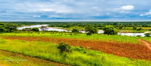 04 20170202-am Zambezi-DSC 5818