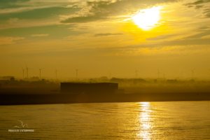 Sonne über dem Ufer