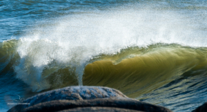 Welle im Wind und Gegenlicht