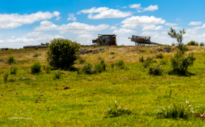 Wagen am Horizont