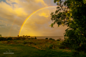 Regenbogen