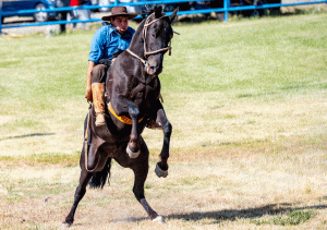 12-20200118-1644-Rodeo-die-beiden-Gesichter-DSC 3225-both-look-a-little-o-shit