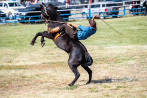 13-20200118-1644-Rodeo-oben-bleiben-ist-alles-DSC 3210-he-try-to-stay-on-the-horsback