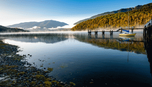 34-20200207-0817-Landschaft-Morgennebel-DSC 6371-a-slitly-fog-over-the-lake-in-the-early-morning