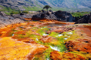 40-20200303-1156-cascada-del-Agrio-Farben-zum-Verweilen-DSC 7512-colourful-algas