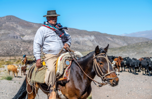 12-20200315-112349-DSC 3998-Gaucho- 