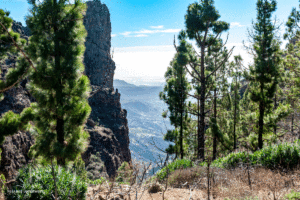 Ausblick ins Tal