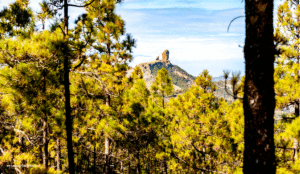 Roque Nublo