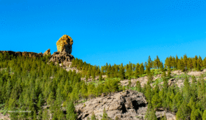 03 Roque-Nublo