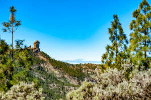 14 Roque-Nublo