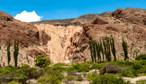 03-20220113-1224-Anden-Steinfall-DSC 9603-stonefall