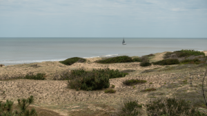 6 20221119-1213-Strandspaziergang-schoene-Segelfarbe-DSC05588 