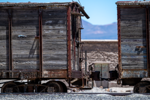 28-20230115-1214-Orte-ausrangierte-Gueterwagen-DSC 3688-scraped-railway-carriage