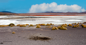 38-20230116-1726-Lagunenroute-Laguna-Colorada-DSC 0734-Edit-Laguna-Colorada