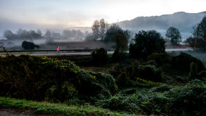 05-20231106-0222-Crespi-Adda-Fruehmorgendliche-Sportlerin-DSC06093-Edit-early-joker