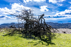 03-Kampf-gegen-die-Witterung-Al-Tocal