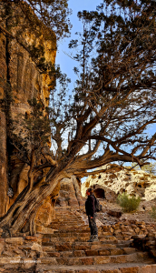 27-unter-einem-alten-Baum-Gabi